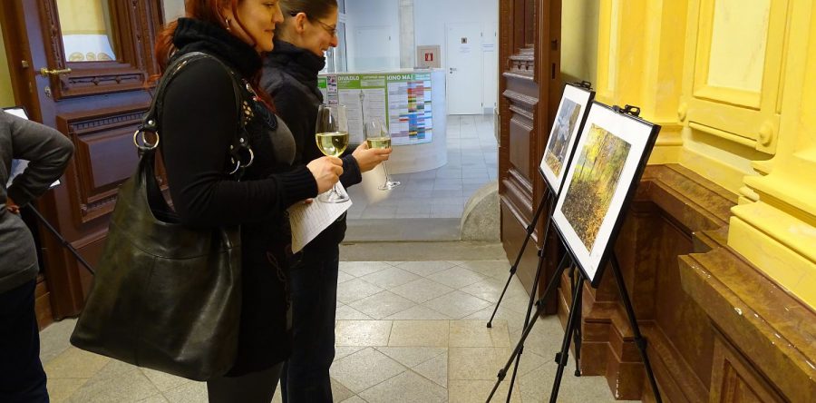 Den Lovosických autorů 2016