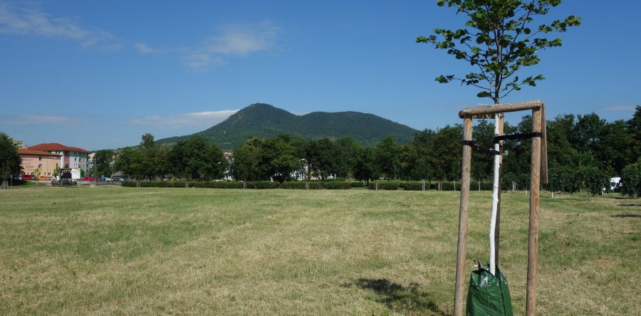 Osmička se protáhla
