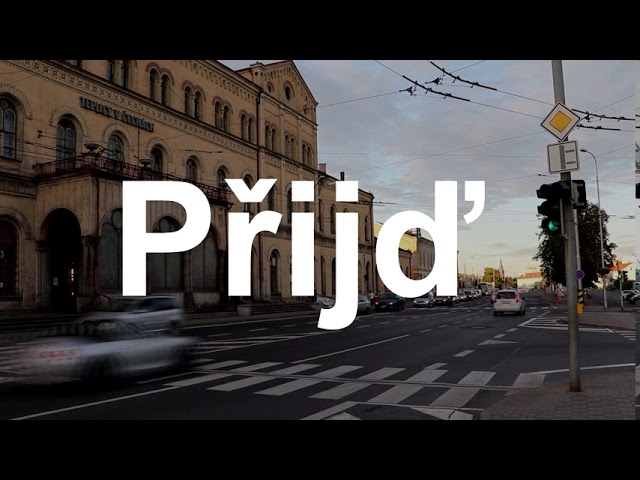 Krajské volby 2020: VIZE – národní socialisté